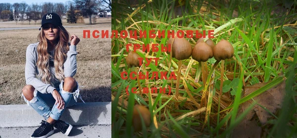 PSILOCYBIN Алексеевка