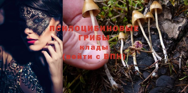 кокаин Алексин