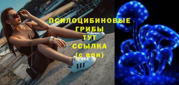 PSILOCYBIN Алексеевка