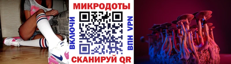 Галлюциногенные грибы Psilocybe  где продают наркотики  Железногорск-Илимский 